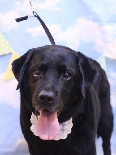 0230312こてつくん